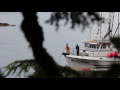 Seal bombs thrown into Sitka hatchery net fine against skipper