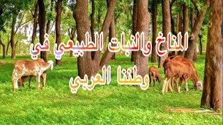 درس : المناخ والنبات الطبيعي في وطننا العربي للصف الثاني الاعدادي ترم اول#مؤمن_والدراسات