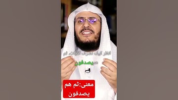 معنى يَصْدِفُونَ في قوله تعالى (انظر كَيْفَ نُصَرِّفُ الآيات ثم هم يصدفون)