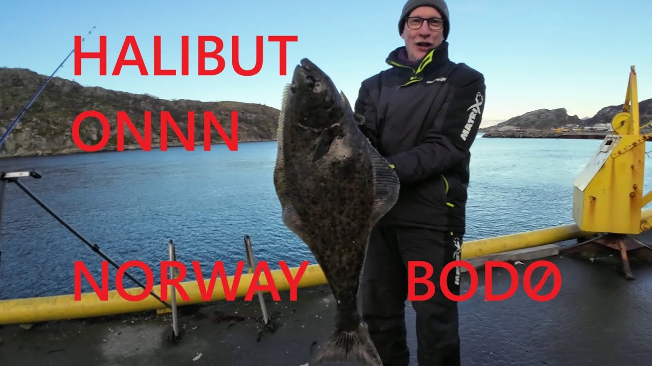 Бодо, Норвегия. Морская рыбалка со священником и пекарем.