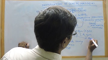 Molecular basis of inheritance Griffith