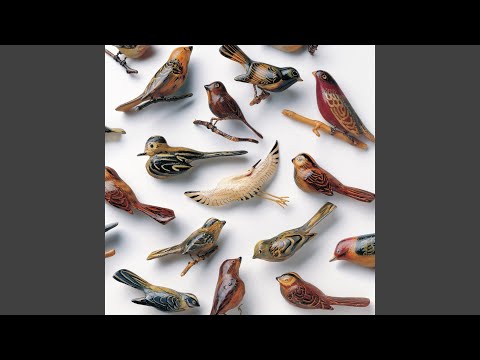 Angeline - Kishi Bashi