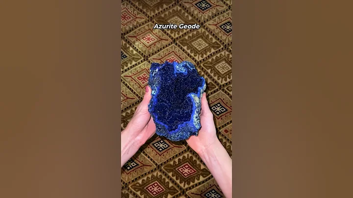 What do these all have in common?🧐