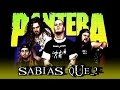 ¿Sabias Que? PANTERA