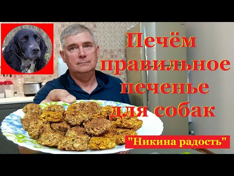 Печём правильное печенье для собак