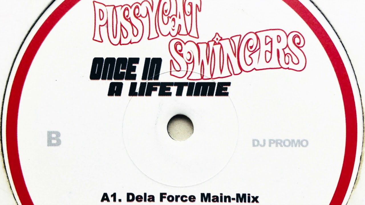 Once in a lifetime перевод. Groove cats once in a lifetime groove 2006. groove cats once in a lifetime. groove cats. ваву тиме groove cats.