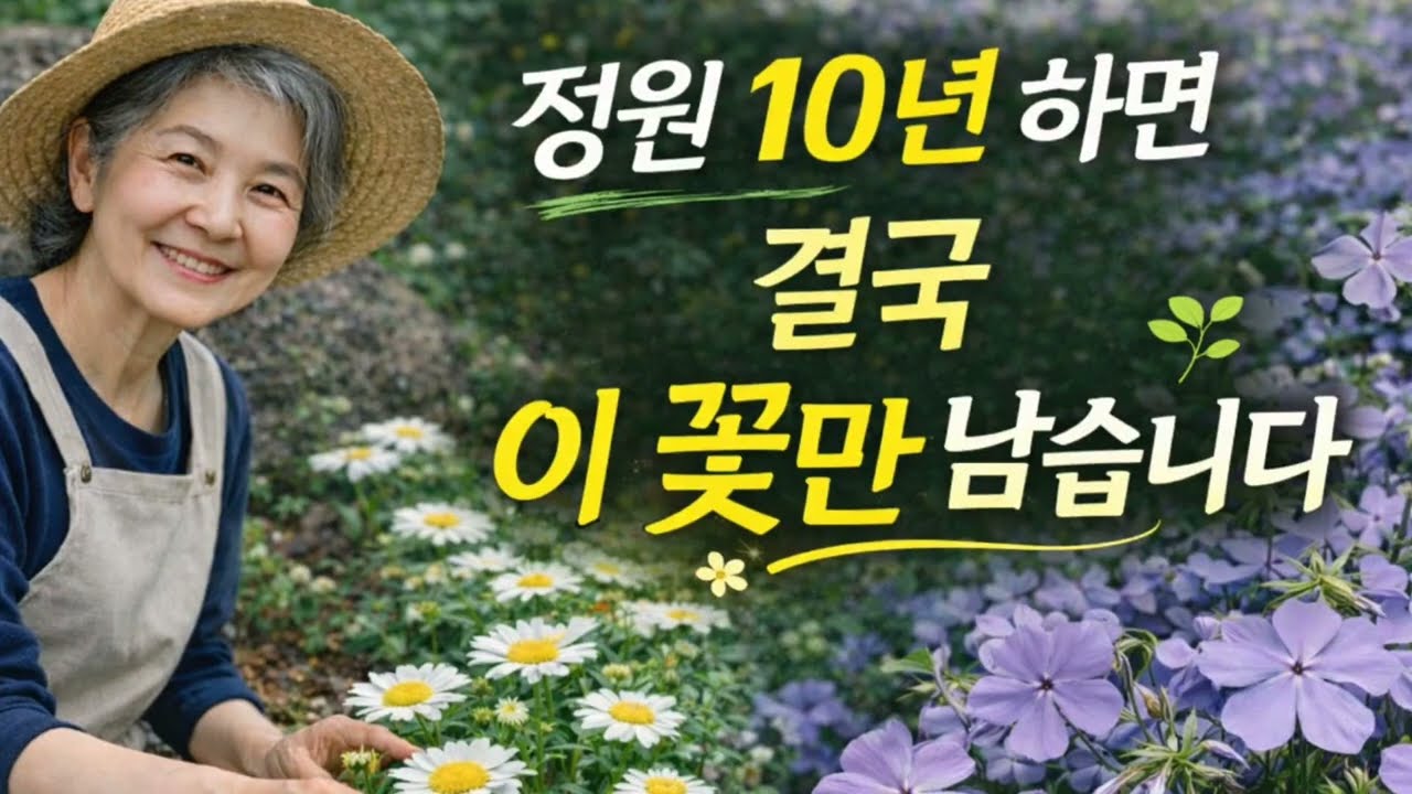 정원  고수들은 3월에 왜  이런 꽃만 심을까요?
