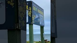 🛸 The Shag Harbour UFO Crash: Canada's Chilling Unsolved Alien Encounter #unsolvedmysteries #alien