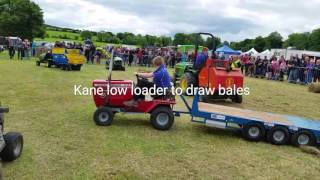 Murray, Connor and Gill Bros. The Grass lads at Claragh bridge vintage rally July 2016