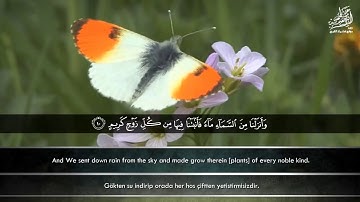 « هَٰذَا خَلْقُ اللَّهِ » تلاوة رائعة بصوت الشيخ عبدالباسط عبدالصمد رحمه الله