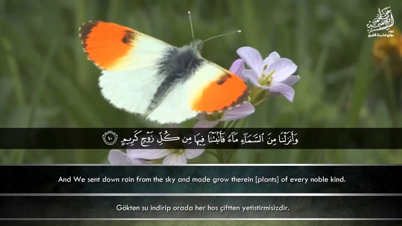 « هَٰذَا خَلْقُ اللَّهِ » تلاوة رائعة بصوت الشيخ عبدالباسط عبدالصمد رحمه الله