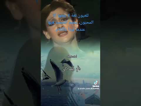 شيلاك فى نن عينى
