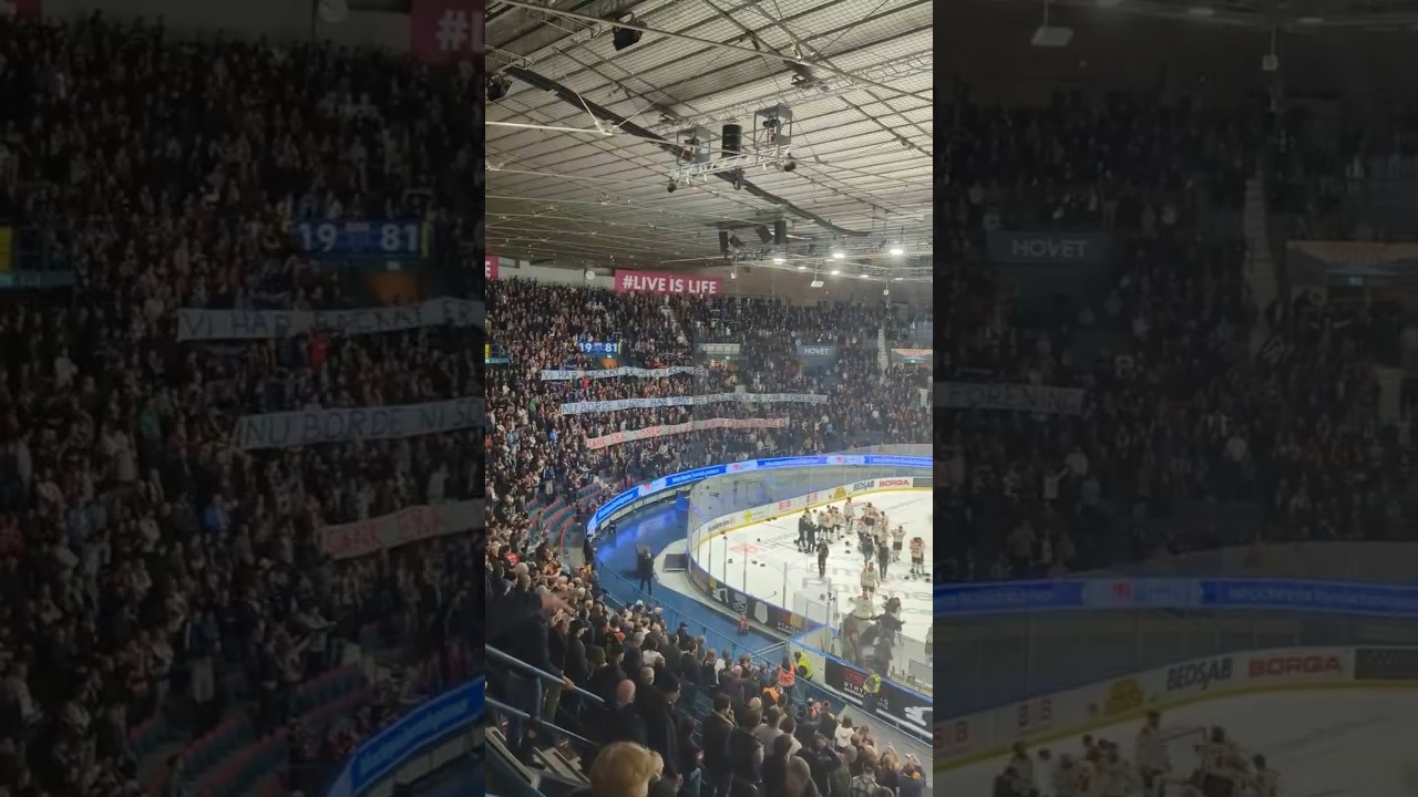 Djurgården sjunger för sin förening trots förlust i finalen