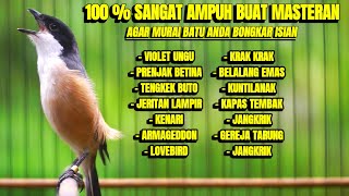 SUARA CENDET GACOR MATERI KEKINIAN COCOK BUAT MASTERAN CENDET ANDA