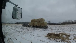 Preparing The Farm For A BLIZZARD!