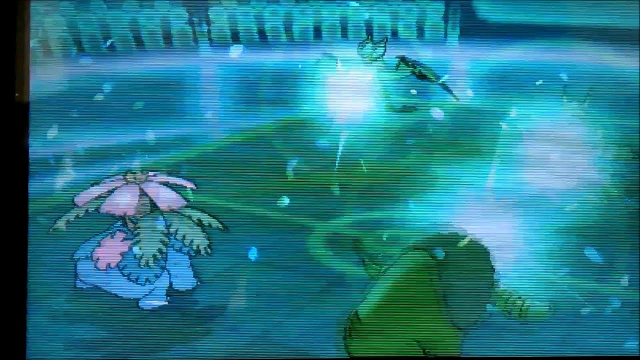ポケモンxy はなふぶき そうしょく Youtube ポケモンxy はなふぶき そうしょく Youtube