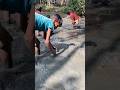 Hidden Fish in Drying Water #fishing #shortsfeed #shorts #fish #fishinglife #village #popular