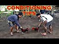 5 minutes scratshing21 days conditioning tips kb solana gamefarm