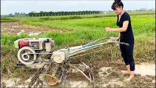 Plow the fields to prepare for the new rice crop, and take care of farm animals
