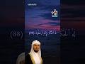 الآية 88 من سورة القصص بصوت القارئ الشيخ فارس عباد