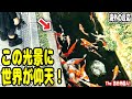 海外の反応「マジでありえない！」日本のドブで泳ぐ大量の錦鯉に、外国人も驚愕(;ﾟﾛﾟ)