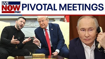 Trump, Putin plan Hungary meeting as Zelenskyy visits White House