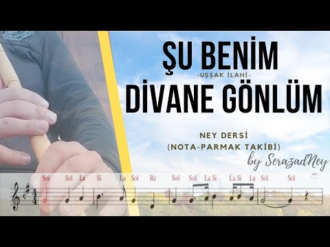 Aglama Karanfil Ney Solfej Mp3 Mp4 Indir Dur