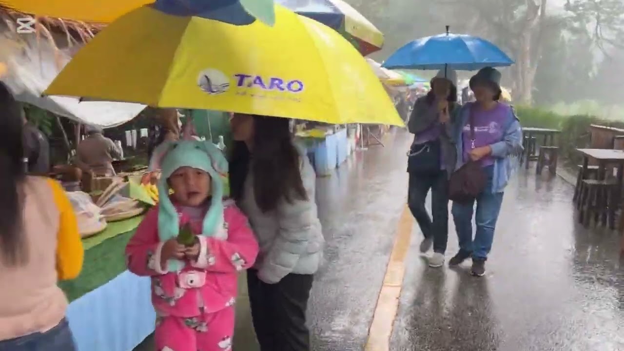 Doi Tung Royal Villa 와 Mae Fah Luang (치앙라이)~