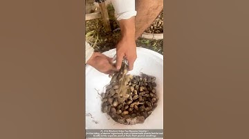 The work of separating peanuts from peanut seedlings in homemade bottles