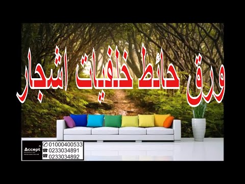 ورق حائط خلفيات اشجار ورق حائط اشجار ورق حائط 3 فى مصر
