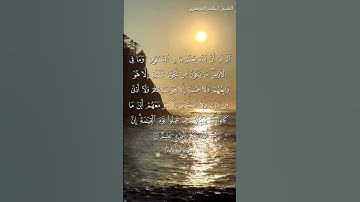 سورة المجادلة  آية 7 بصوت الشيخ ياسر الدوسري♥♥