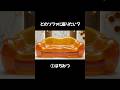 【AI ASMR】どのソファが1番お気に入り?🛋️ | Choose Your Dream Sofa #shorts