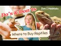 Best Places to Buy &amp; Adopt Reptiles: Rescues, Breeders, Rehoming &amp; Pet Stores
