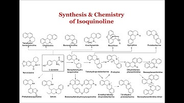 Synthesis & Chemistry of Isoquinoline