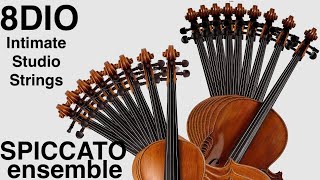 Intimate Studio Strings by 8Dio - Demo of all the presets: Traditional Spiccato Ensemble (2022)