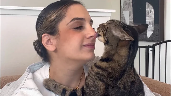 I think the PetPivot AutoScooper could make a wonderful Christmas gift for your cats! 