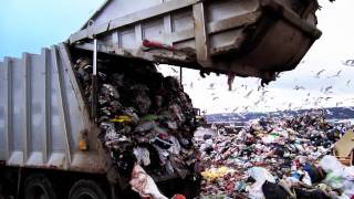 UTM Recycle Mania! 2012