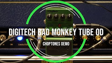 Digitech Bad Monkey | Playthrough Demo