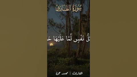 #قران_كريم #تلاوات #quran #تلاوه #تلاوة_خاشعة #راحة_نفسية #تلاوت قران#سورة الطارق#والسماء والطارق