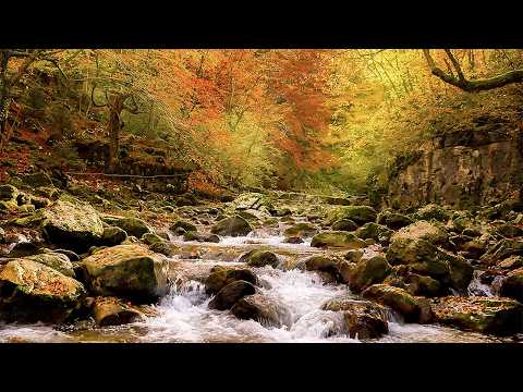 Healing Harmony | Native American Flute for Instant Stress Relief & Deep Relaxation