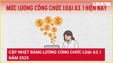 Cập nhật bảng lương công chức loại A3.1 năm 2025 | Báo Lao Động