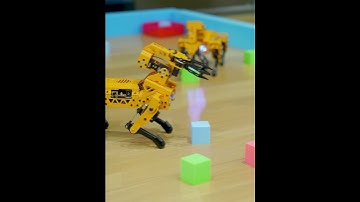 MechDog Pro | Upgrade Unleashed: 3 DOF Robotic Arm and AI Voice Interaction