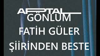 Aptal Gönlüm