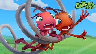 Spring Fever! | Funny Cartoons For All The Family! | Funny Videos for kids | ANTIKS 🐜🌿