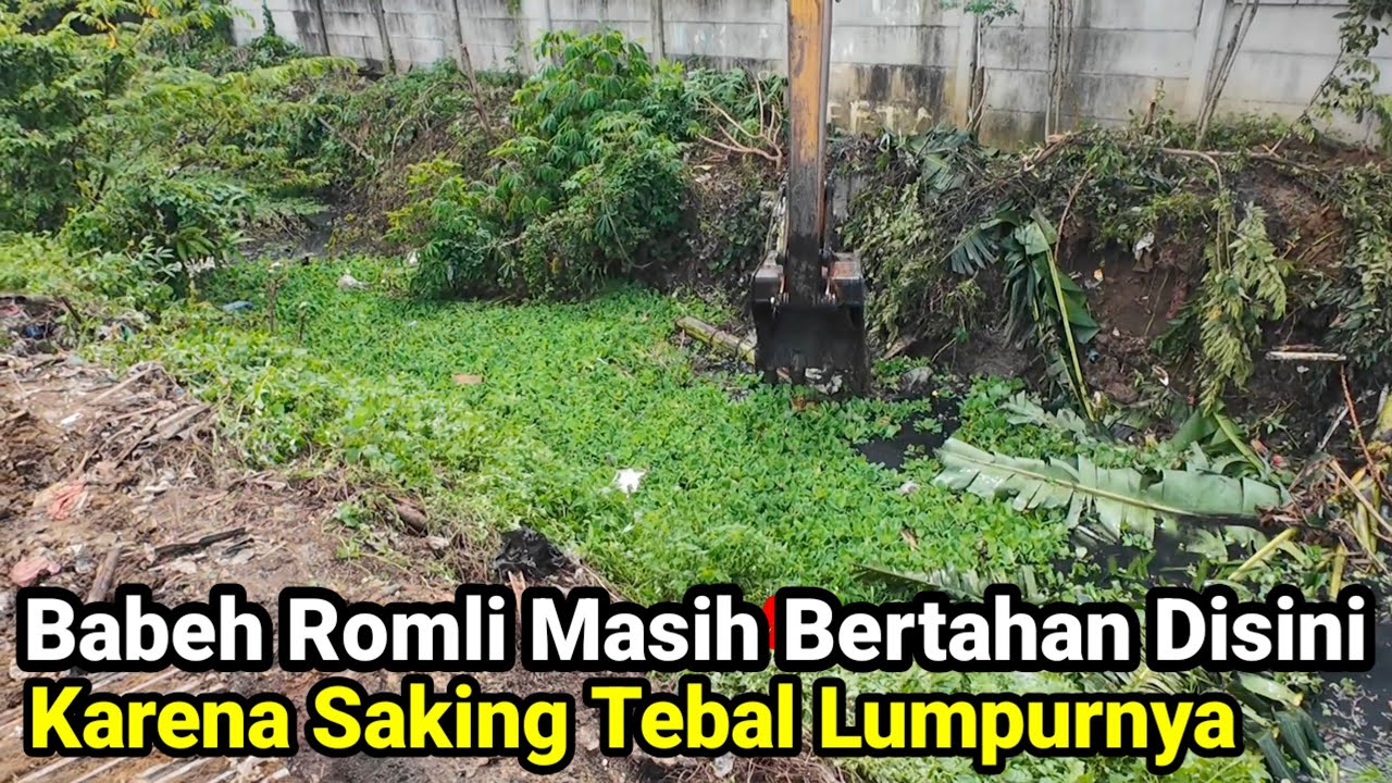 Saking Tebalnya Babe Romli Masih Bertahan Di Sini