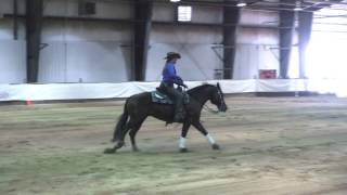 13CSU   04 04 114 Shiners Lena Dust   Amanda Antifaev