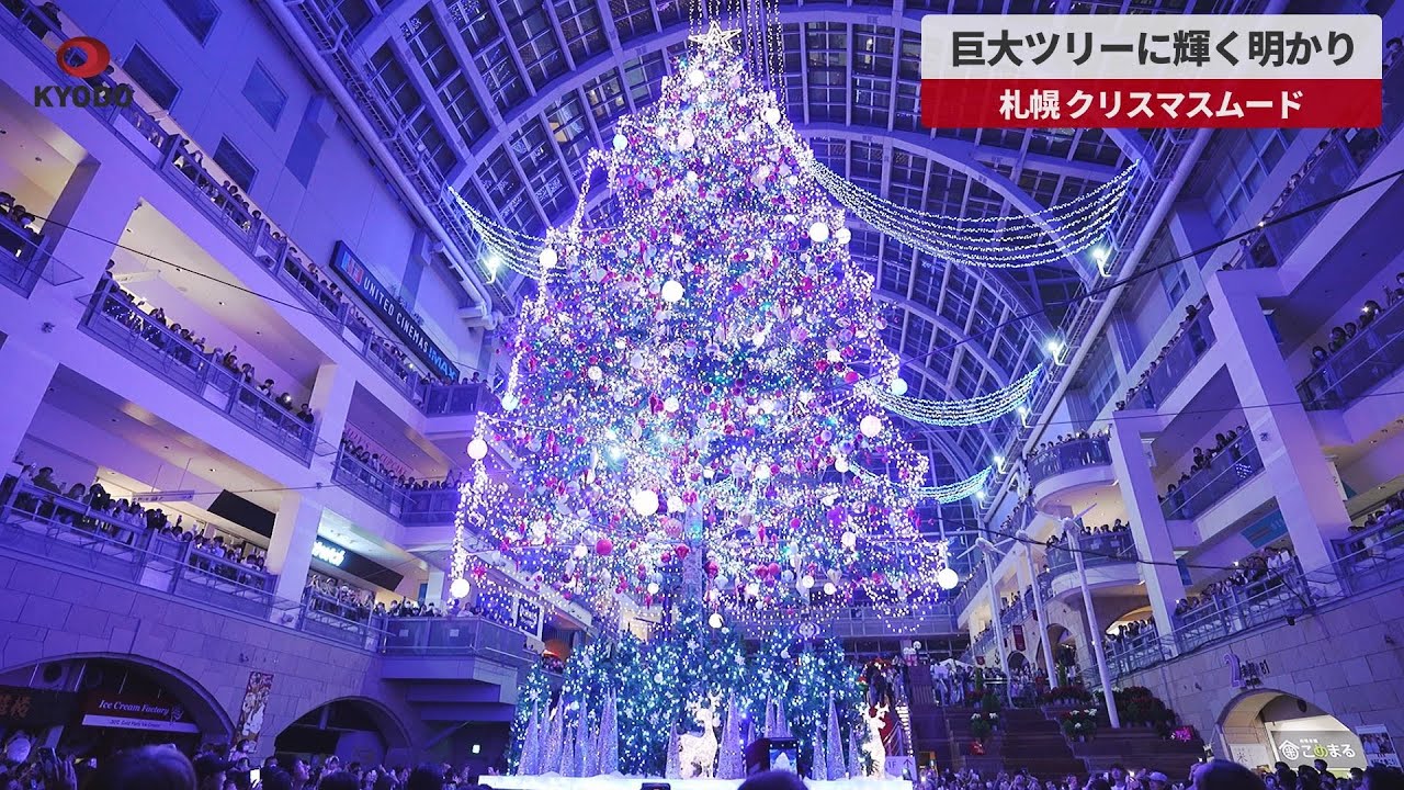 速報】巨大ツリーに輝く明かり 札幌、クリスマスムード - YouTube