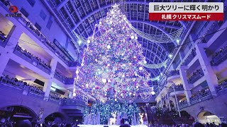 【速報】巨大ツリーに輝く明かり 札幌、クリスマスムード