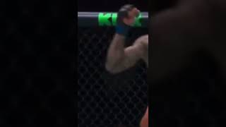 Magomed Ankalaev Vs Aleksandar Rakic