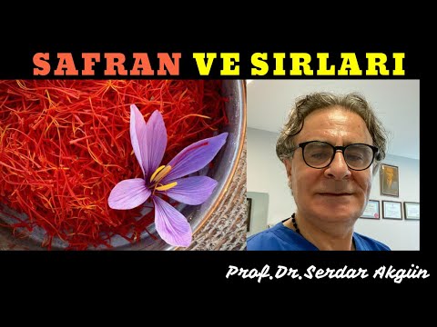 Video: Safran: çiçek, ilaç ve baharat